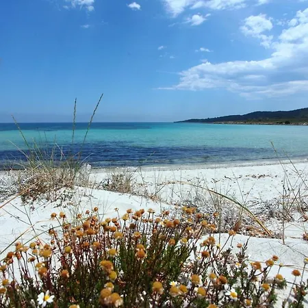 Maestrale Bflat - Klodge * Olbia